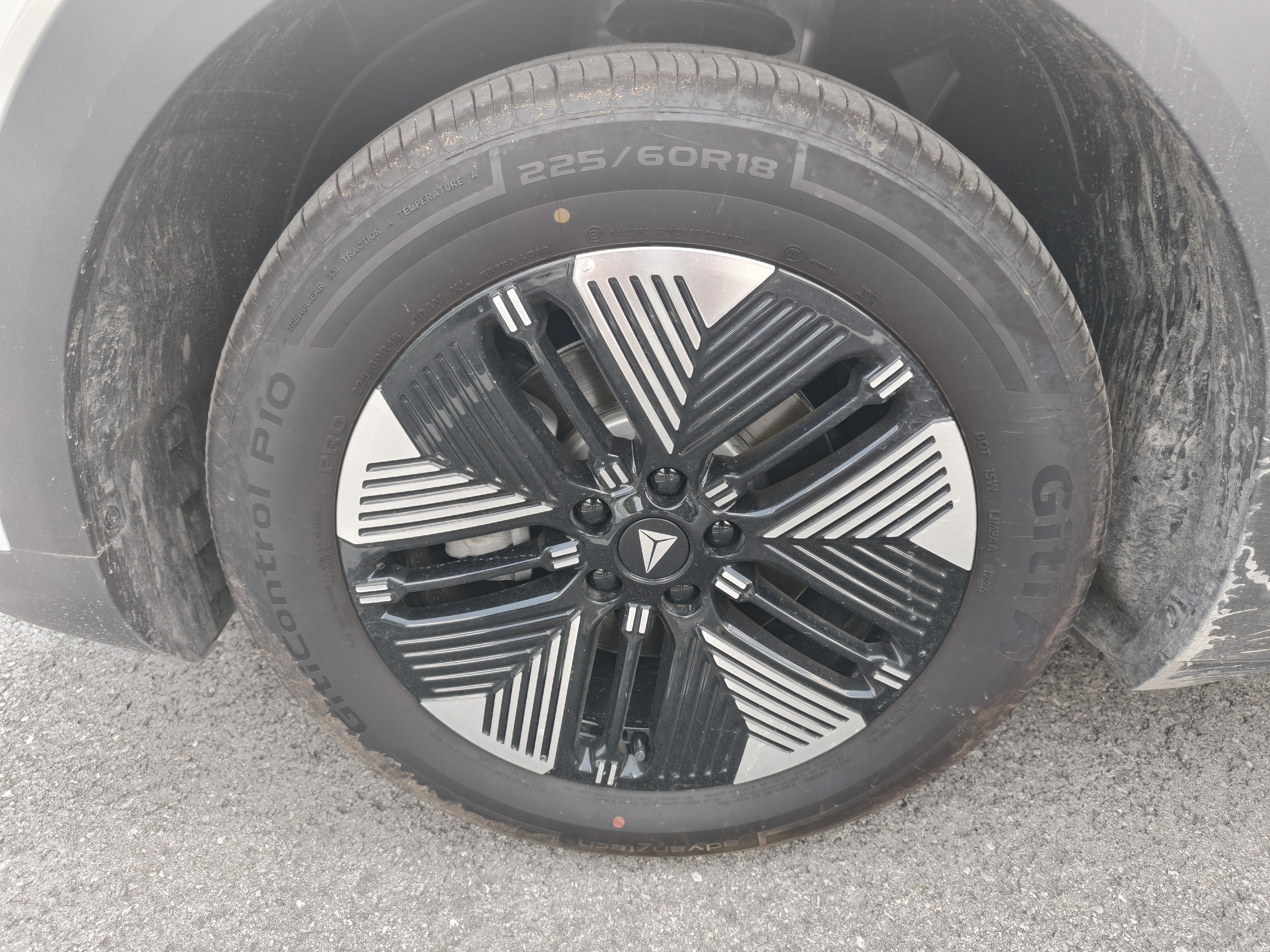 Image 8